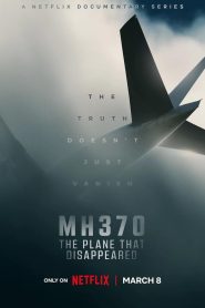 MH370: The Plane That Disappeared Hindi Dubbed